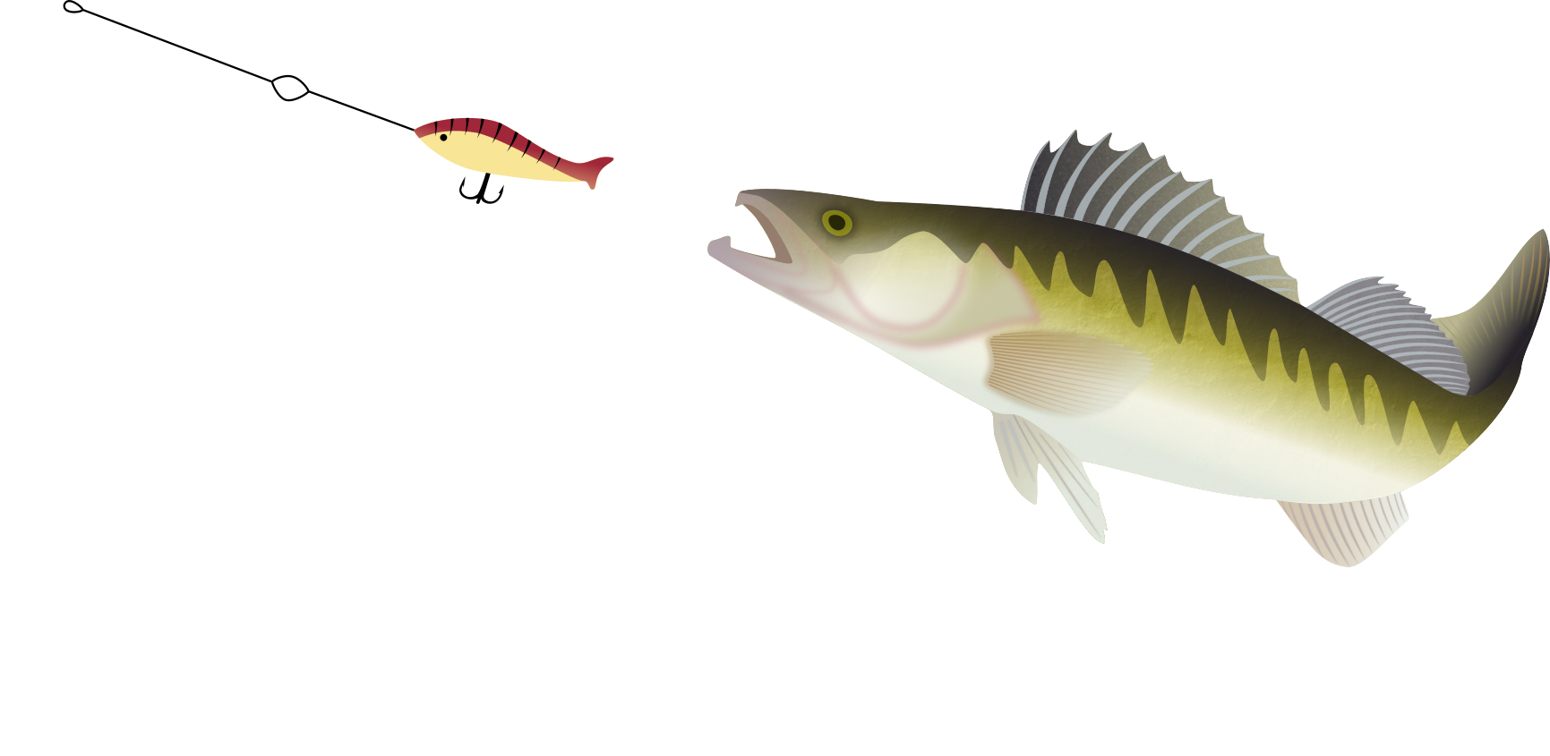 Hobbyfischer Seidlteich